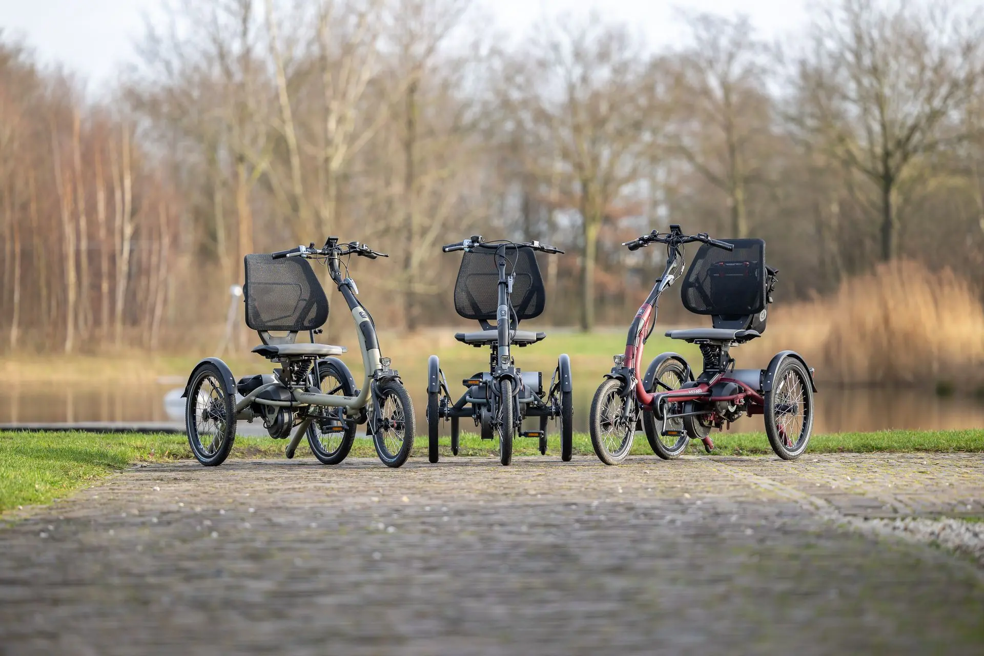 Easy Rider Compact in 3 Farben vor einem Teich 