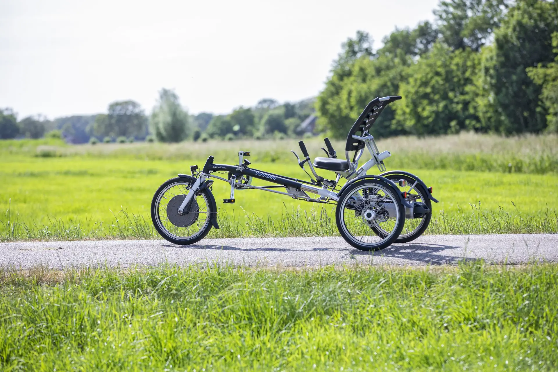 vanRaam Easy Sport Liegedreirad in der Natur 