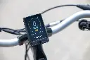 Display Balance electric low entry bike Van Raam.webp