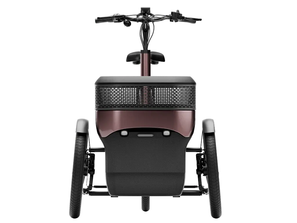 Three wheel electric bike vanRaam Thuja.webp