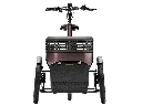Three wheel electric bike vanRaam Thuja.webp