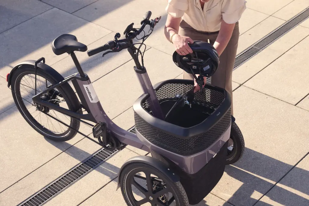 vanRaam cargo unit Thuja tricycle.webp