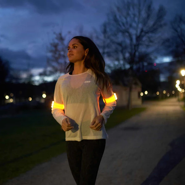 Flasher Set Blinkanlage mit Netzteil