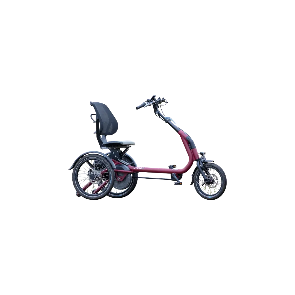 Dreirad Easy Compact Elektro ab € 7.130,40