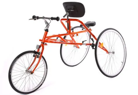 [0010008-5] Clever Cycling Frame Runner Petra, Gr 5 (x-large)