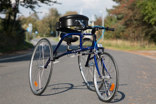 [P3ooooo2] CleverCycling Frame Runner Petra, Gr 3 mit Zubehör