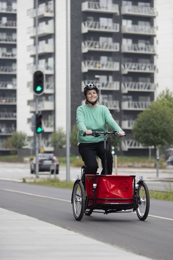 [PCB] Pelican Bosch  - Performance Line mit 7 Gänge und hydraulische Bremse am Hinterrad